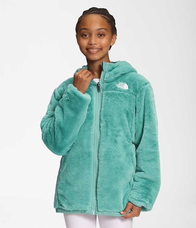 Παρκα για κοριτσια The North Face Reversible Mossbud τυρκουάζ | GR QRUBCXI